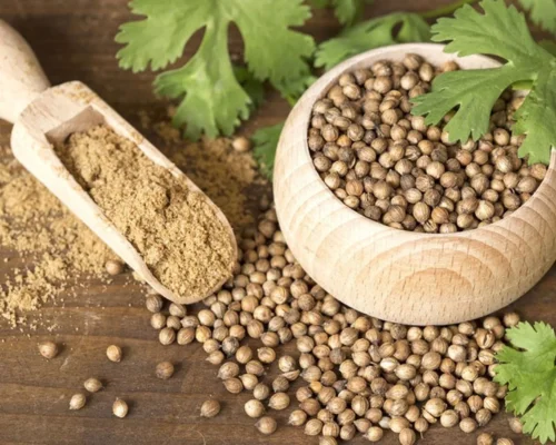 Coriander Seeds / Powder